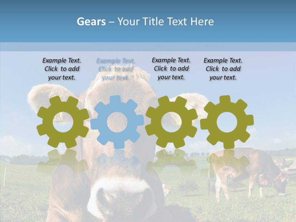 Funny Bull Landscape PowerPoint Template
