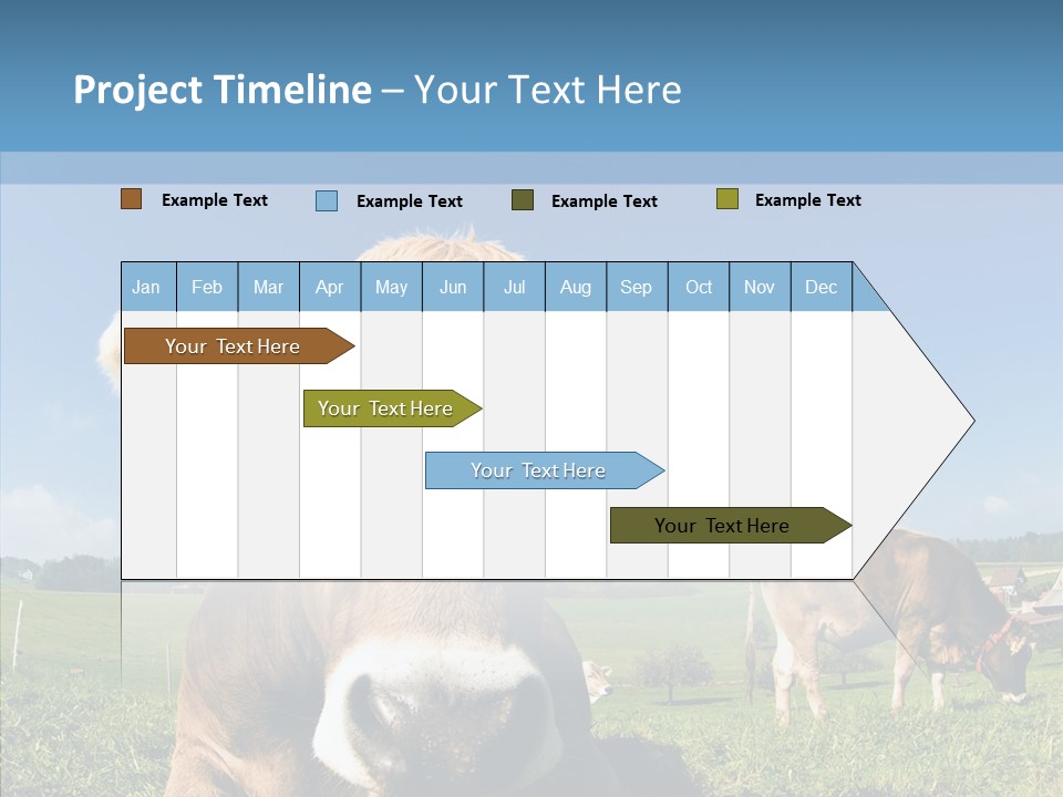 Funny Bull Landscape PowerPoint Template