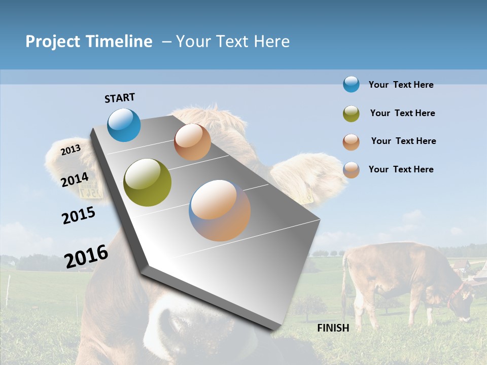 Funny Bull Landscape PowerPoint Template