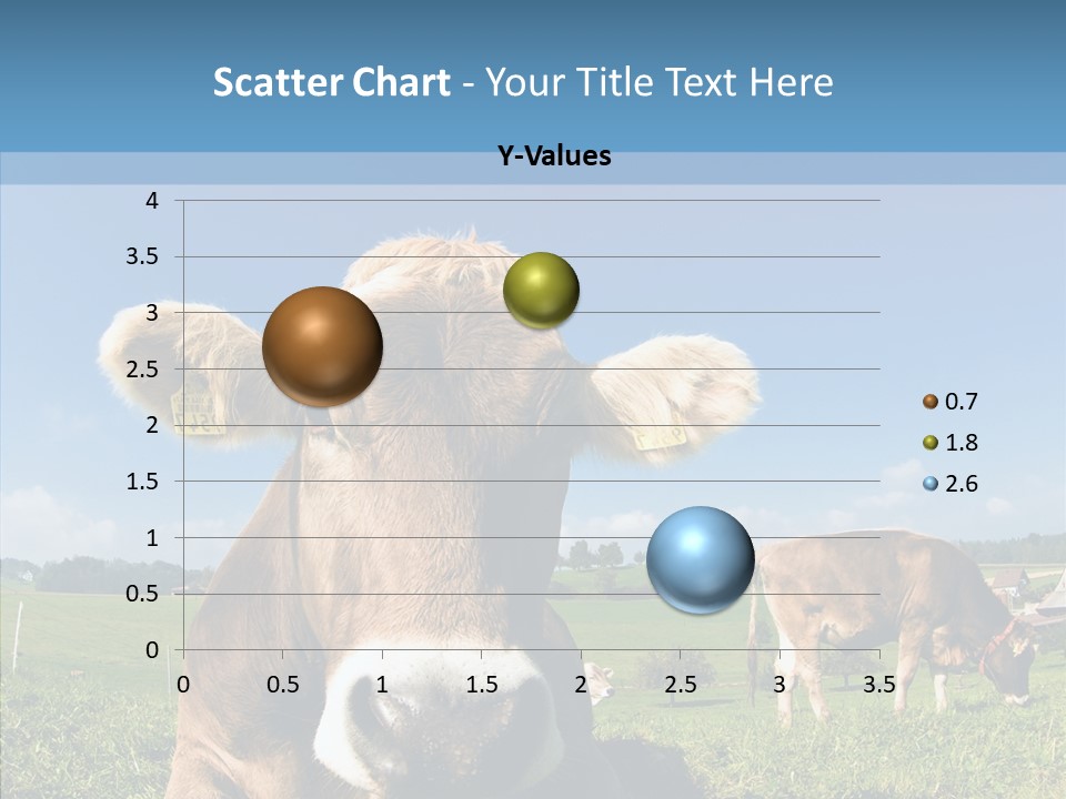 Funny Bull Landscape PowerPoint Template