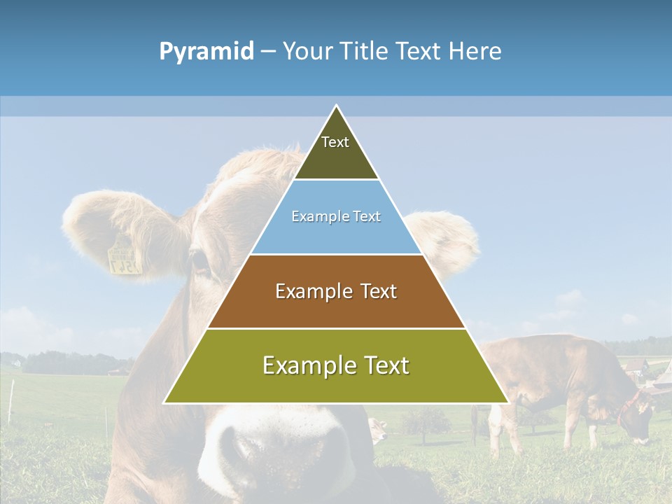 Funny Bull Landscape PowerPoint Template