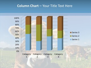 Funny Bull Landscape PowerPoint Template