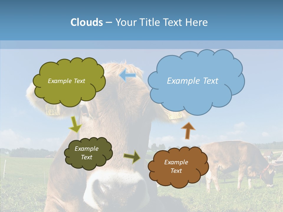 Funny Bull Landscape PowerPoint Template