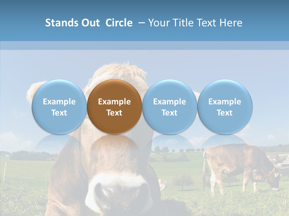 Funny Bull Landscape PowerPoint Template