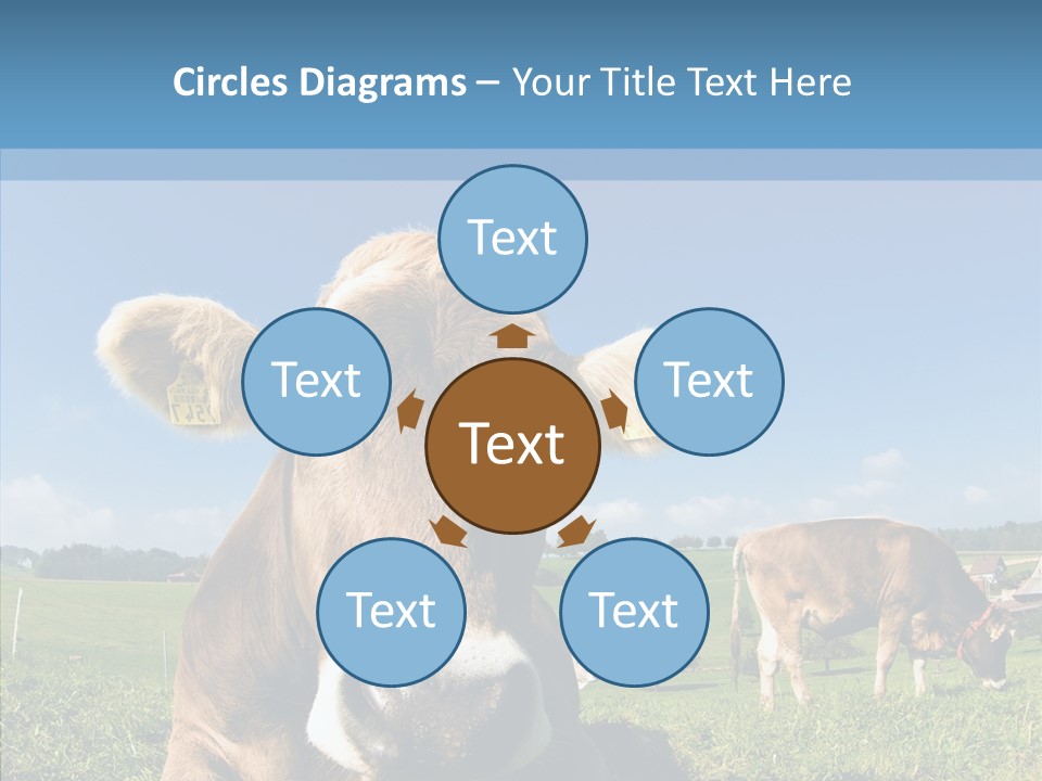 Funny Bull Landscape PowerPoint Template