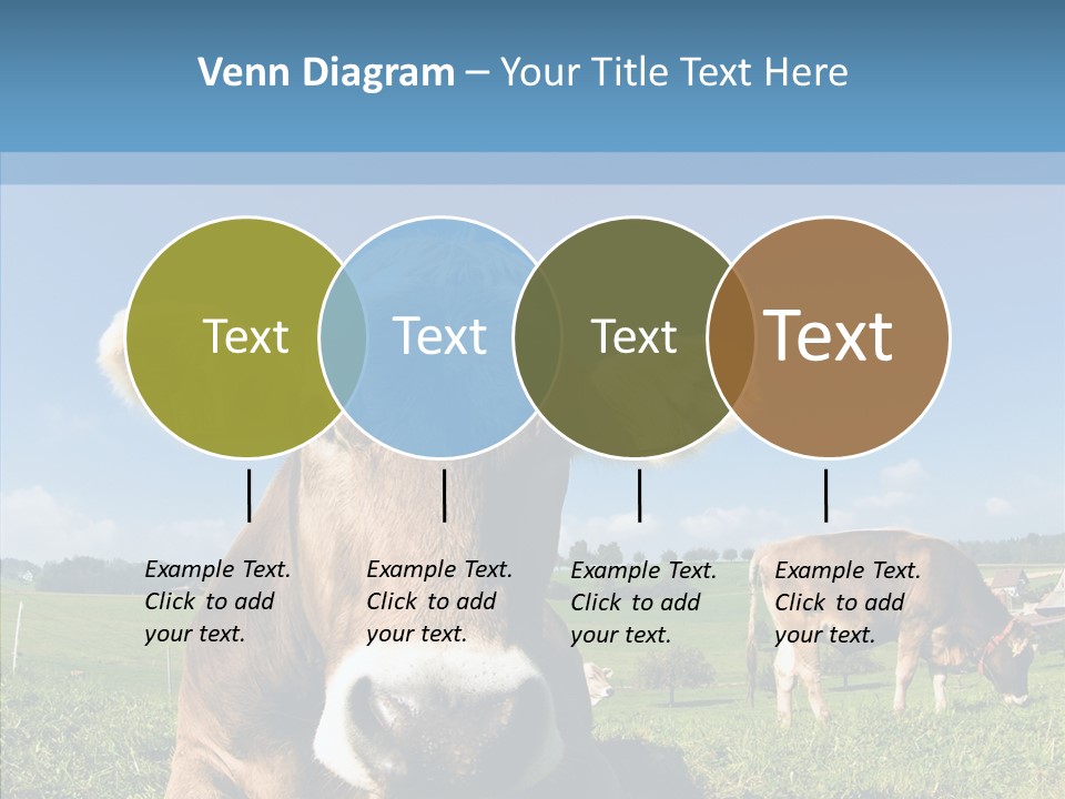 Funny Bull Landscape PowerPoint Template