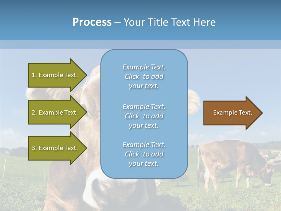 Funny Bull Landscape PowerPoint Template