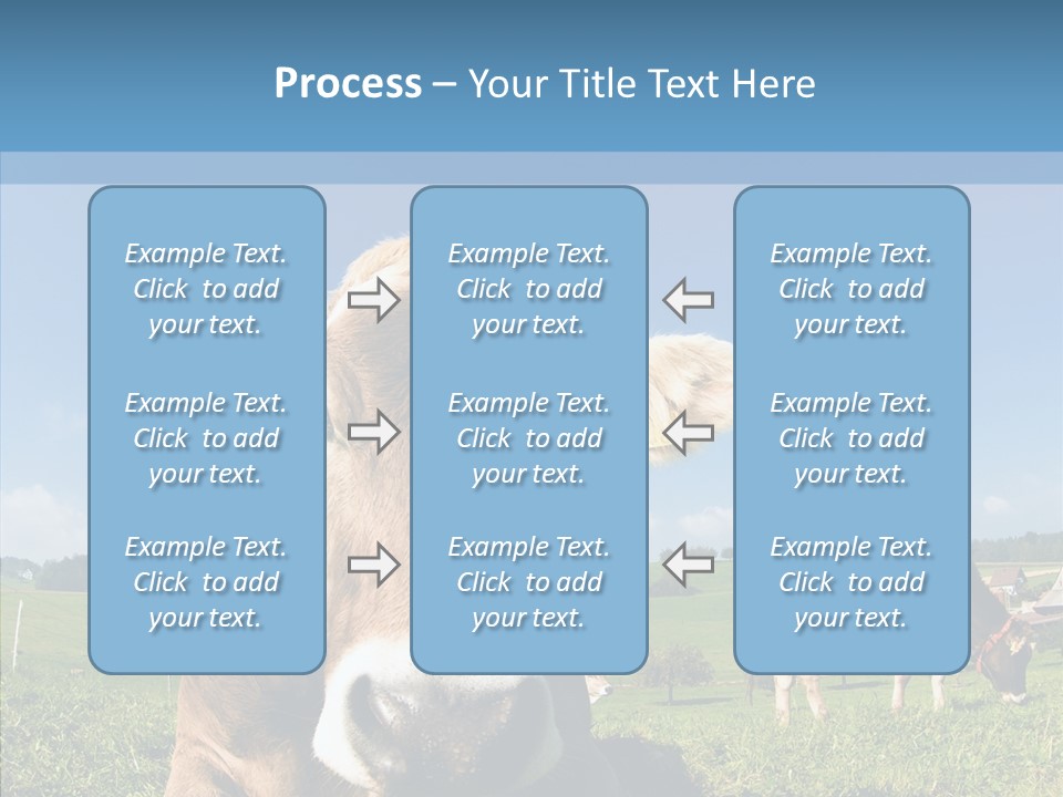 Funny Bull Landscape PowerPoint Template