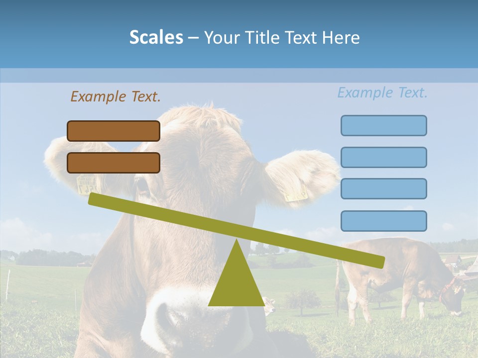 Funny Bull Landscape PowerPoint Template