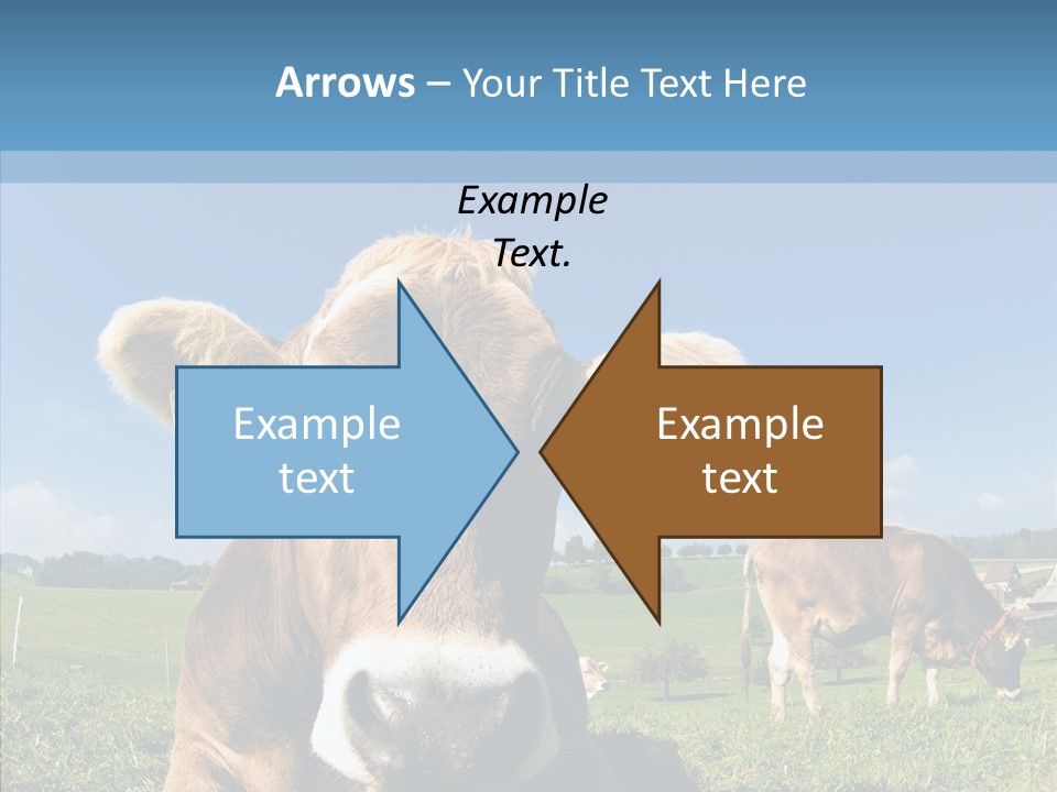 Funny Bull Landscape PowerPoint Template