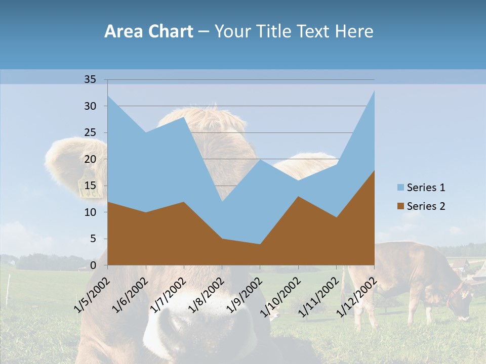 Funny Bull Landscape PowerPoint Template