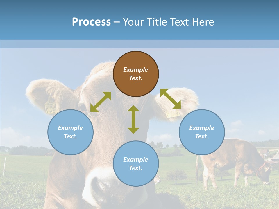 Funny Bull Landscape PowerPoint Template