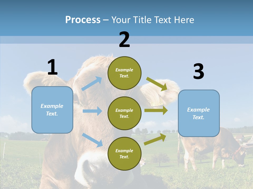 Funny Bull Landscape PowerPoint Template