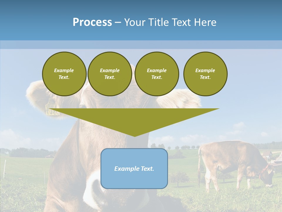 Funny Bull Landscape PowerPoint Template