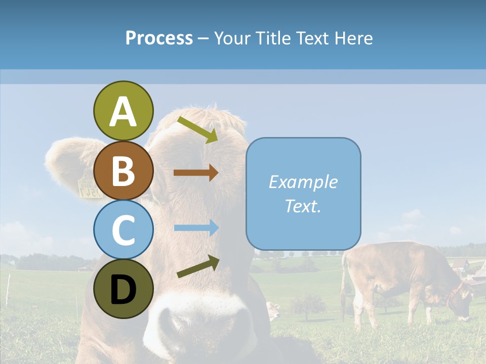Funny Bull Landscape PowerPoint Template