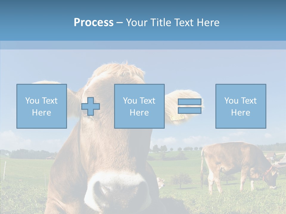 Funny Bull Landscape PowerPoint Template