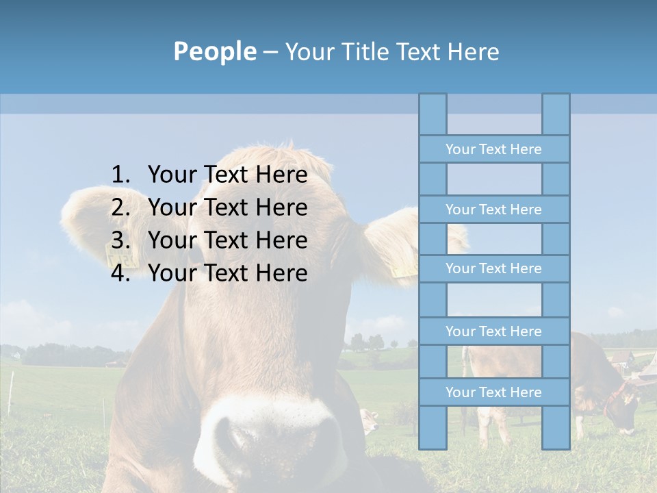 Funny Bull Landscape PowerPoint Template