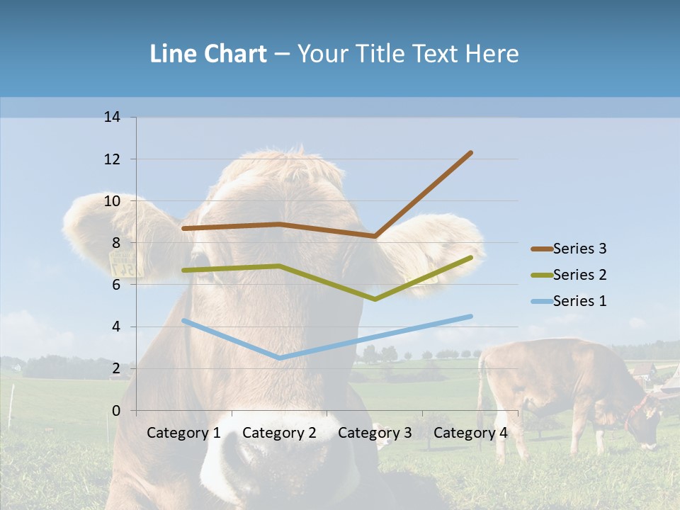 Funny Bull Landscape PowerPoint Template