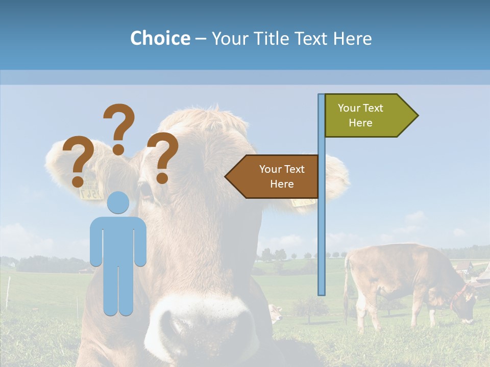 Funny Bull Landscape PowerPoint Template