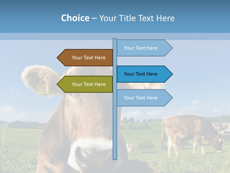 Funny Bull Landscape PowerPoint Template