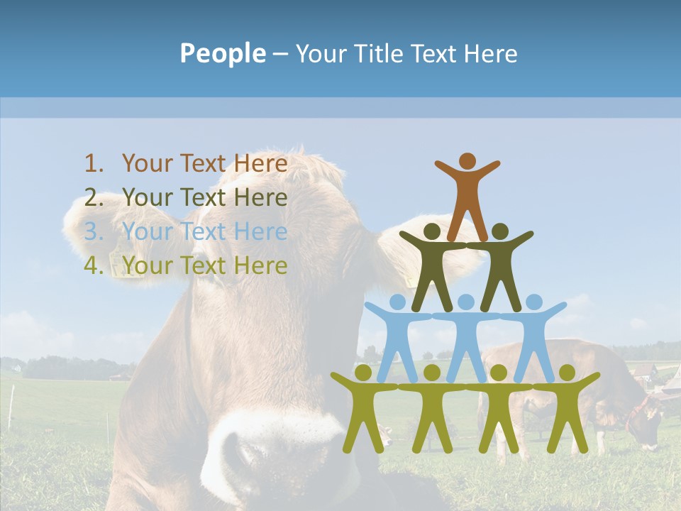 Funny Bull Landscape PowerPoint Template