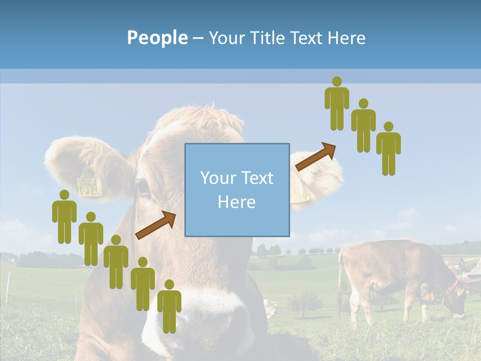 Funny Bull Landscape PowerPoint Template