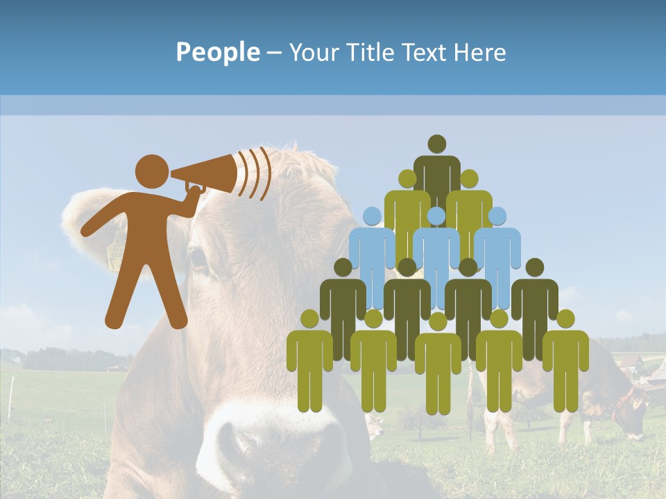 Funny Bull Landscape PowerPoint Template