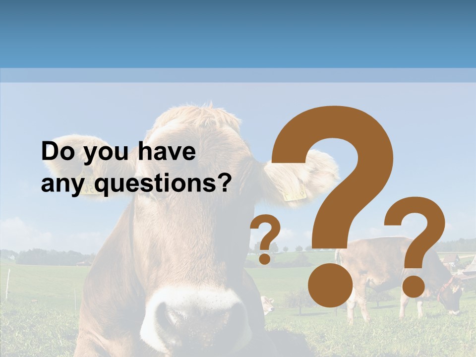 Funny Bull Landscape PowerPoint Template