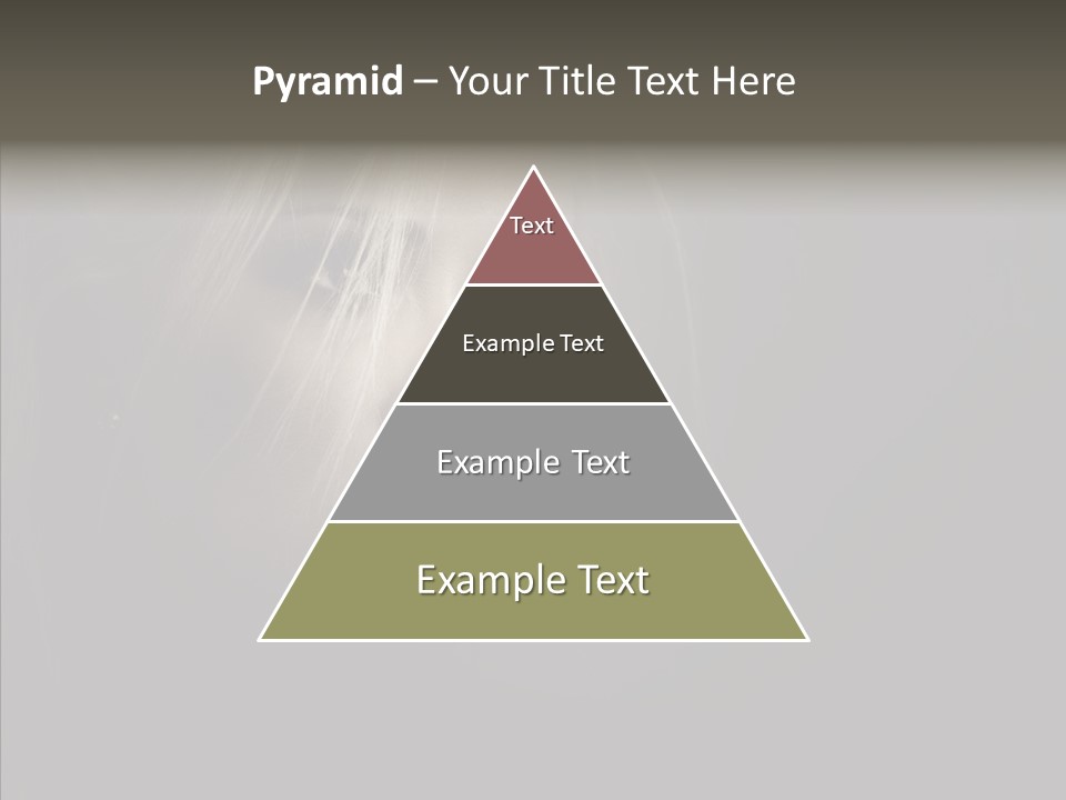 Person Cosmetic Human PowerPoint Template