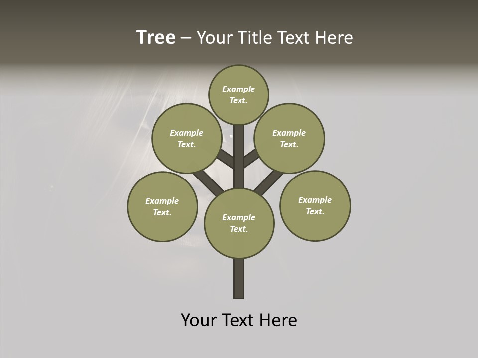 Person Cosmetic Human PowerPoint Template