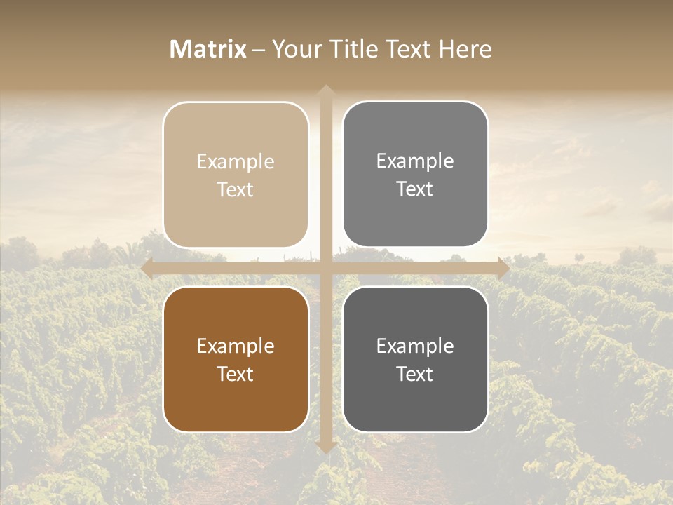 Dusk Mediterranean Cultivated PowerPoint Template