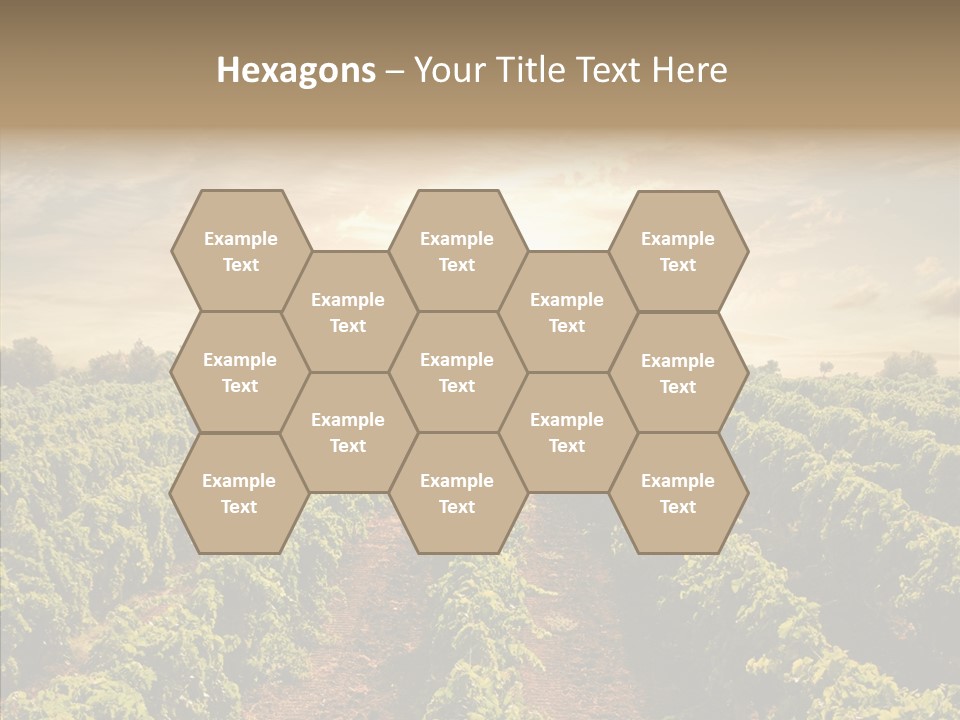 Dusk Mediterranean Cultivated PowerPoint Template