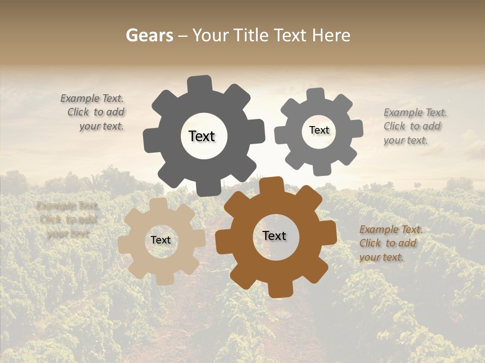 Dusk Mediterranean Cultivated PowerPoint Template