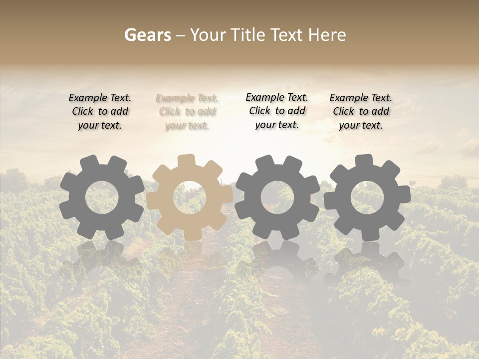 Dusk Mediterranean Cultivated PowerPoint Template