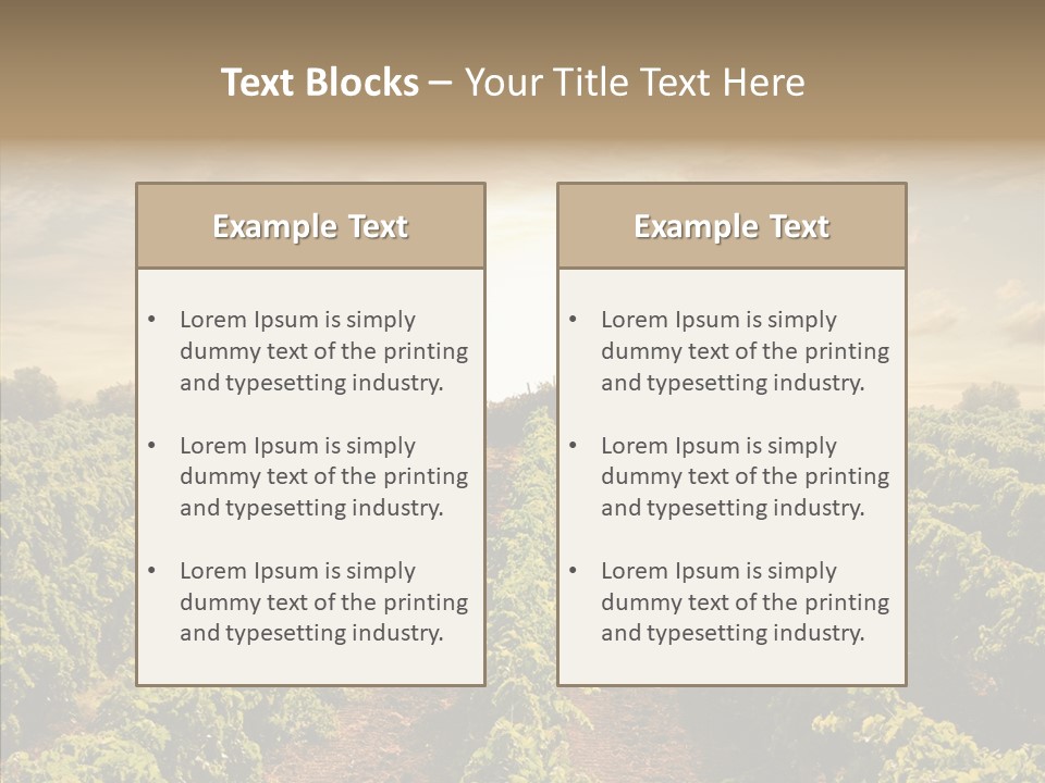 Dusk Mediterranean Cultivated PowerPoint Template