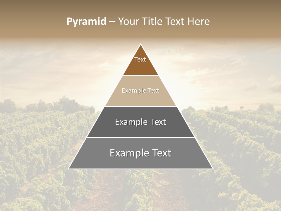 Dusk Mediterranean Cultivated PowerPoint Template