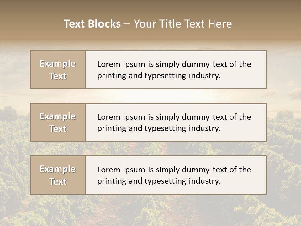 Dusk Mediterranean Cultivated PowerPoint Template