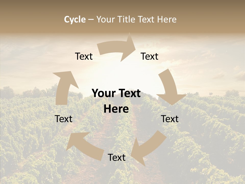 Dusk Mediterranean Cultivated PowerPoint Template