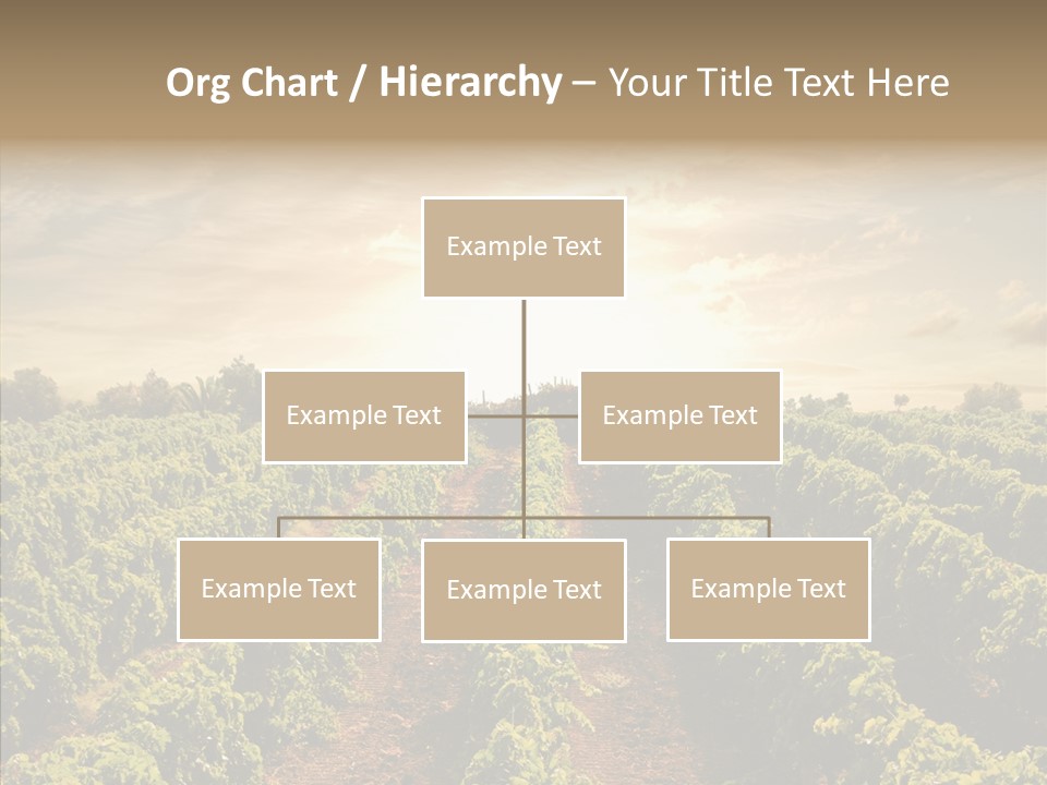 Dusk Mediterranean Cultivated PowerPoint Template