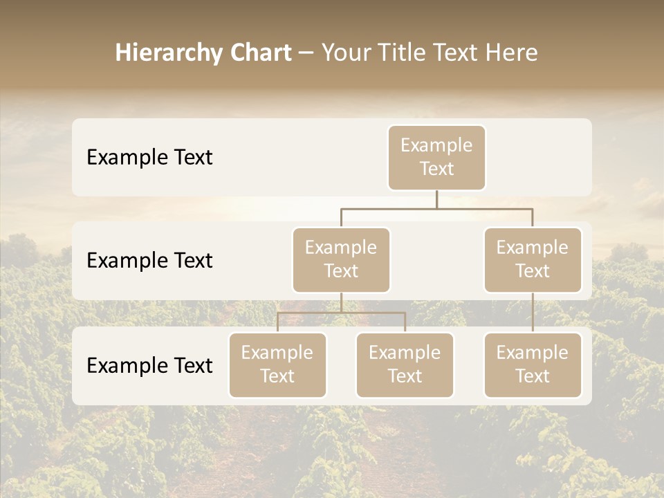 Dusk Mediterranean Cultivated PowerPoint Template