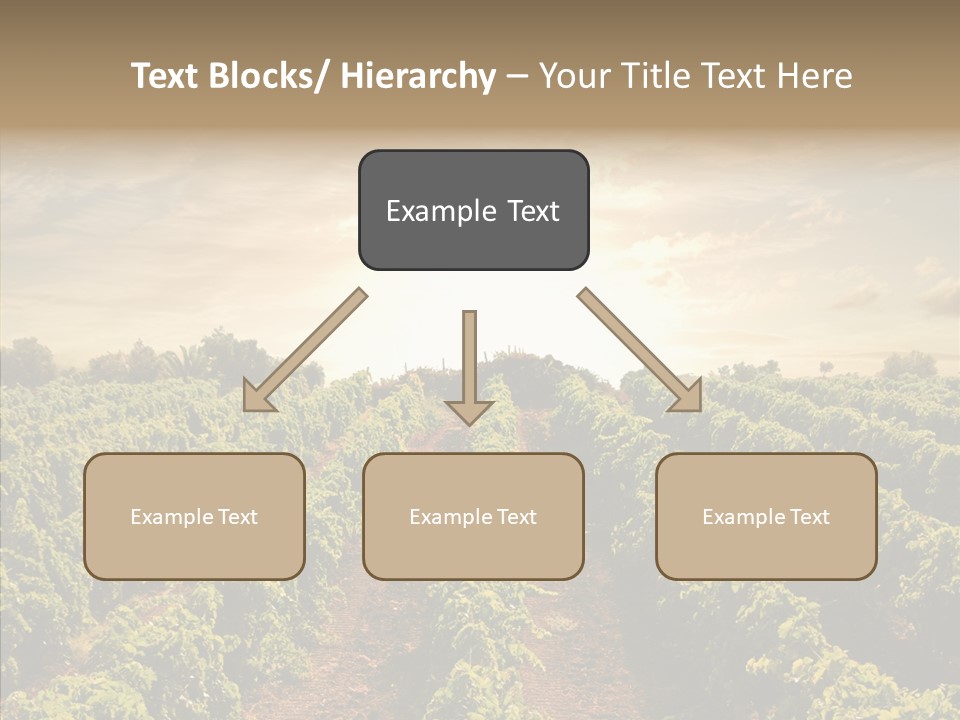 Dusk Mediterranean Cultivated PowerPoint Template
