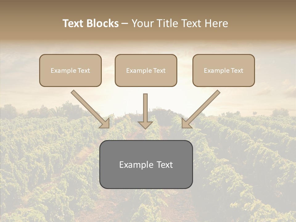 Dusk Mediterranean Cultivated PowerPoint Template