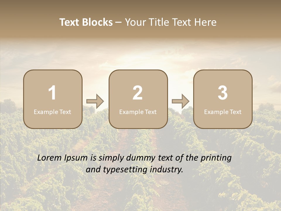 Dusk Mediterranean Cultivated PowerPoint Template