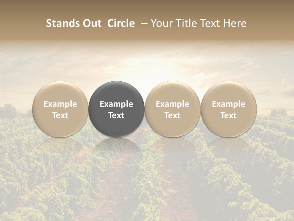 Dusk Mediterranean Cultivated PowerPoint Template