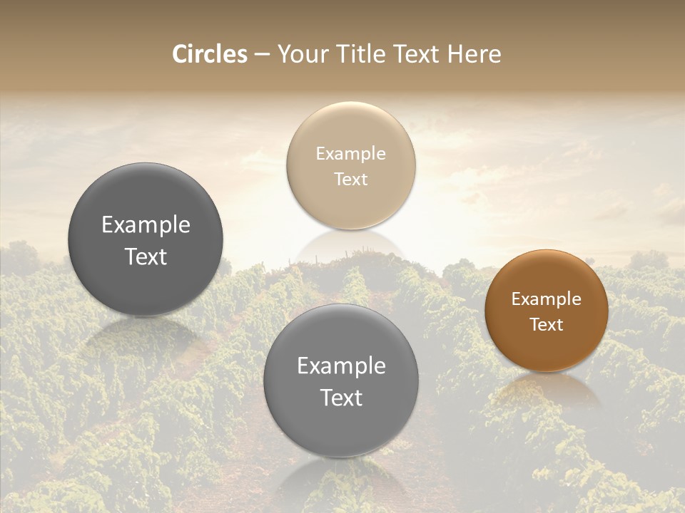 Dusk Mediterranean Cultivated PowerPoint Template