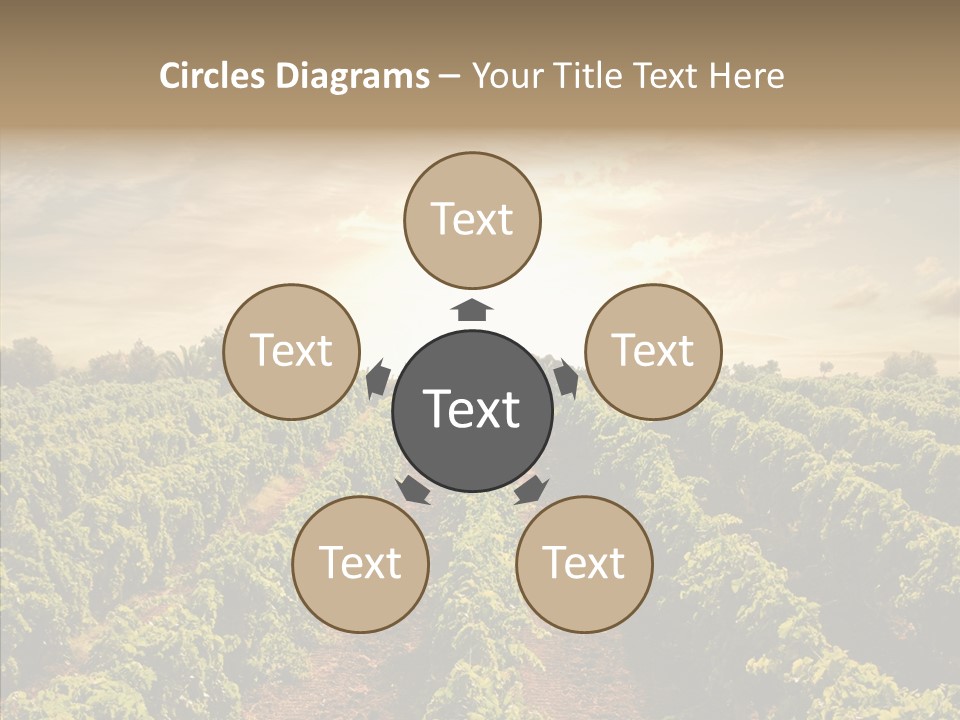 Dusk Mediterranean Cultivated PowerPoint Template