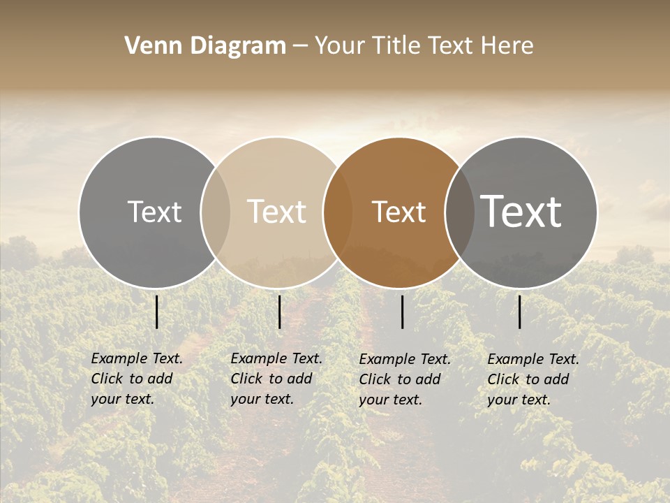 Dusk Mediterranean Cultivated PowerPoint Template