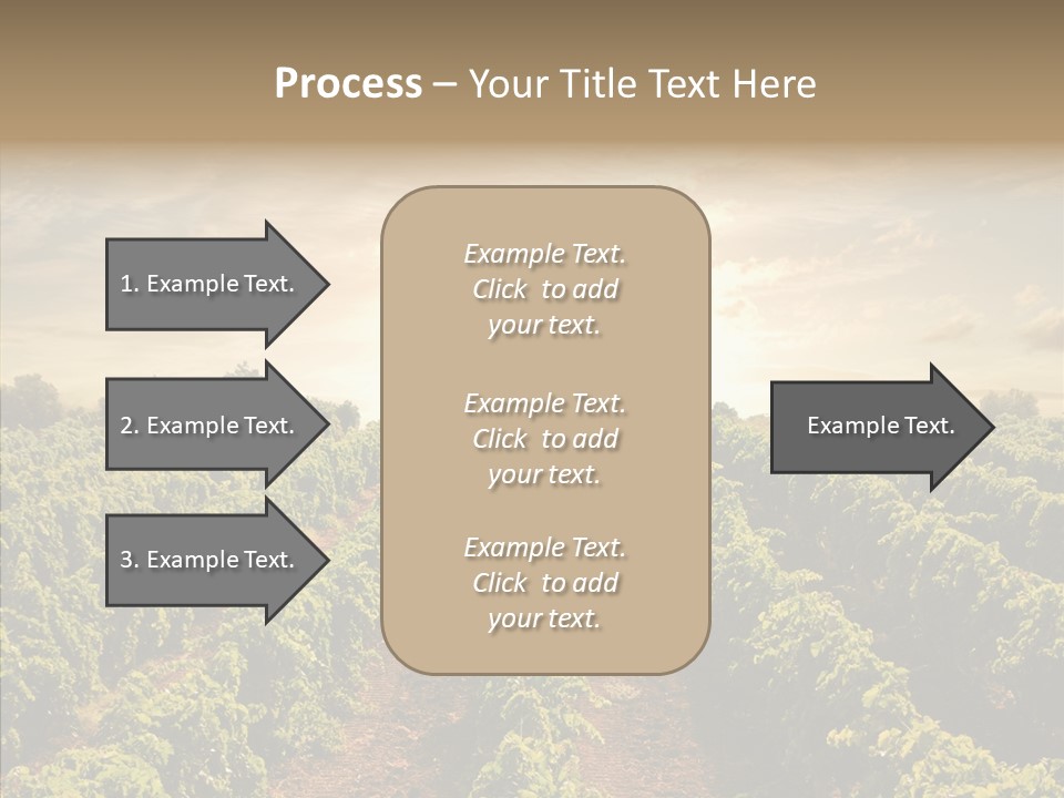 Dusk Mediterranean Cultivated PowerPoint Template