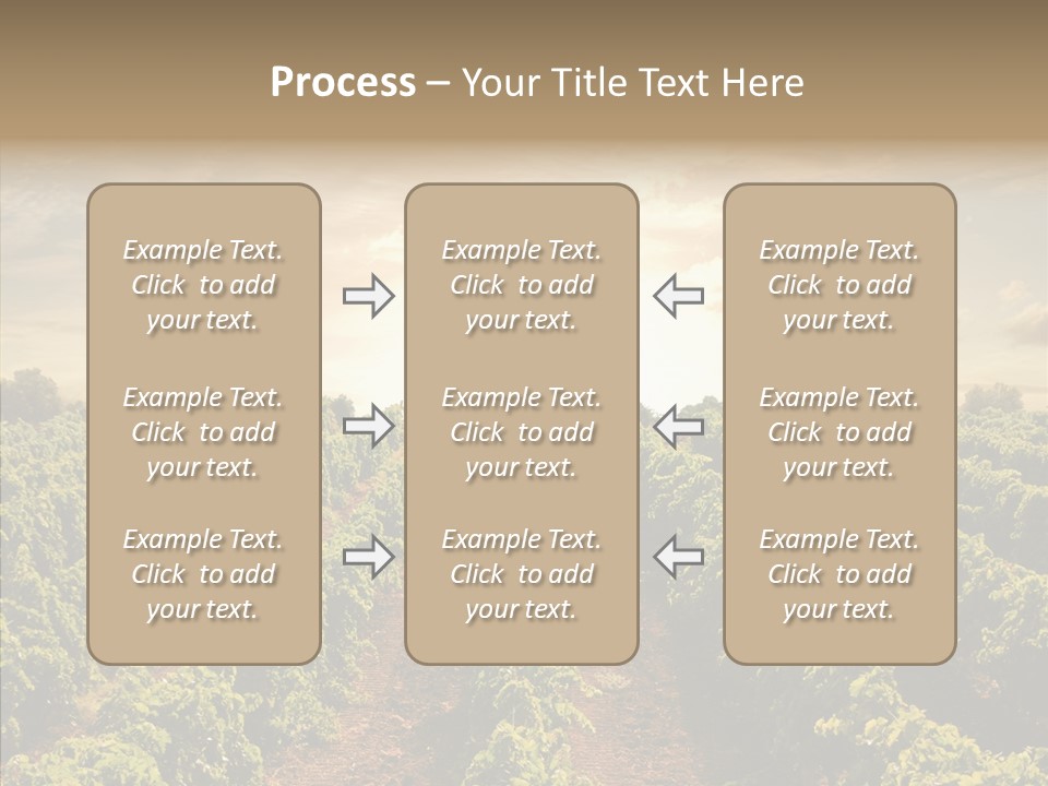 Dusk Mediterranean Cultivated PowerPoint Template