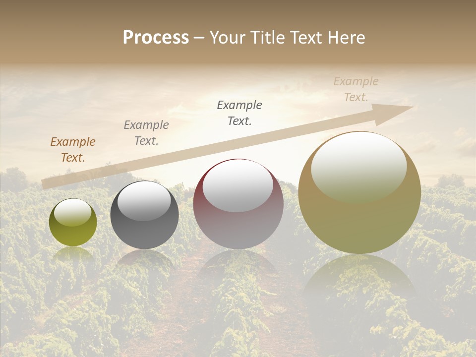 Dusk Mediterranean Cultivated PowerPoint Template